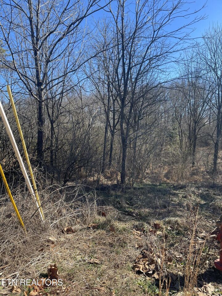 Property Photo: Livesay St TN 38555