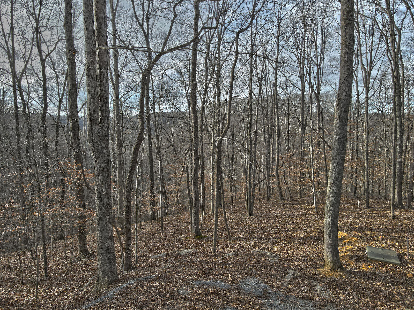 Property Photo: 26 Piper Road KY 42642