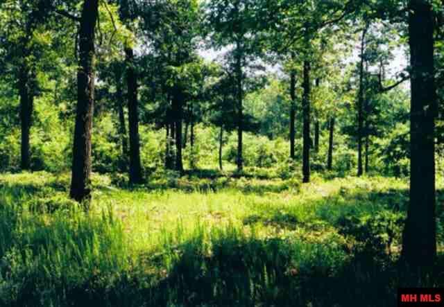 Property Photo:  Lot 21 Cr 472  AR 72623 