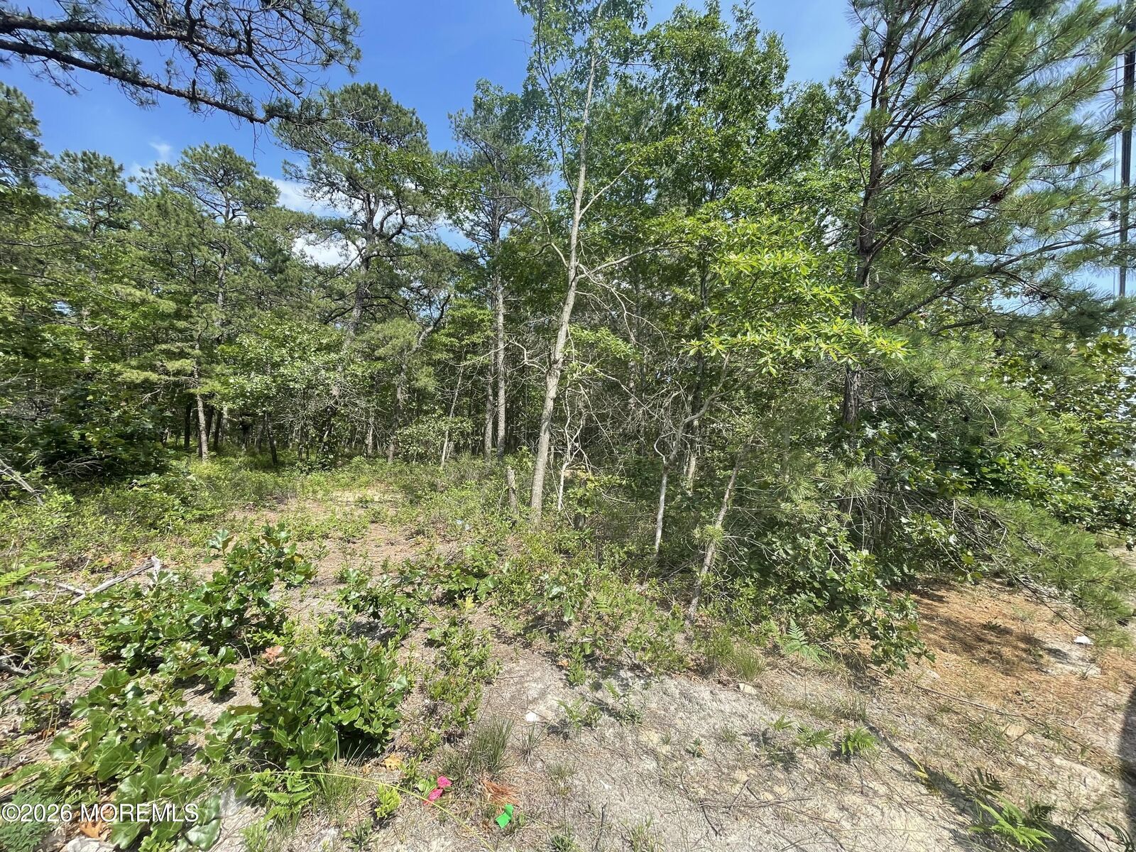 Property Photo:  1463 Route 539  NJ 08087 