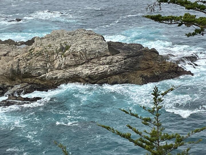 Property Photo: 142 Carmel Riviera Drive CA 93923