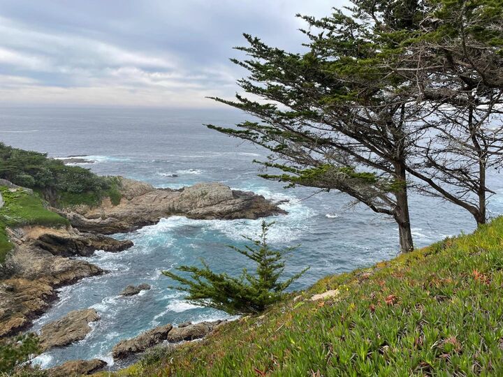 Property Photo:  142 Carmel Riviera Drive  CA 93923 