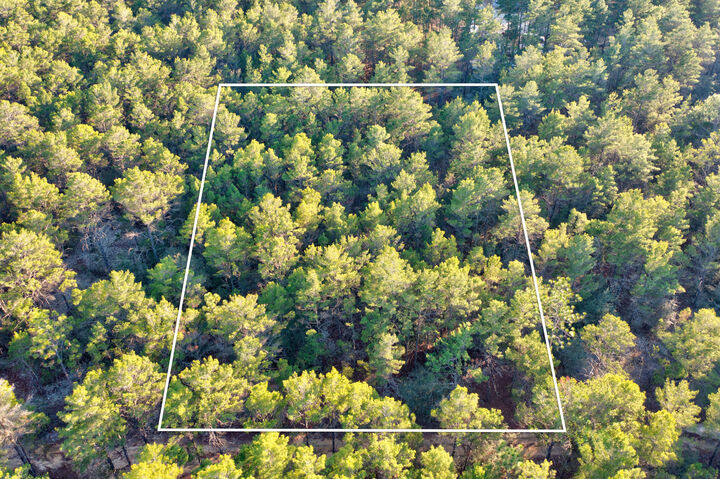 Property Photo:  .92 Duke Drive  FL 32433 