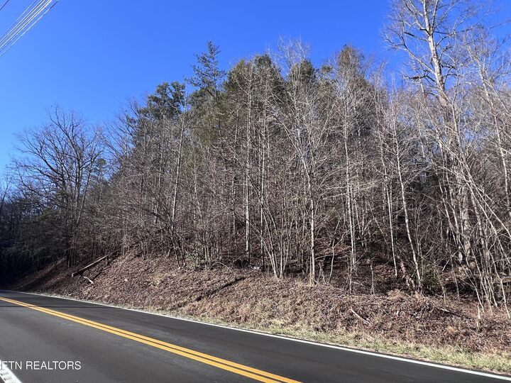 Property Photo:  Lot 17 & 18 Jones Cove Rd  TN 37876 