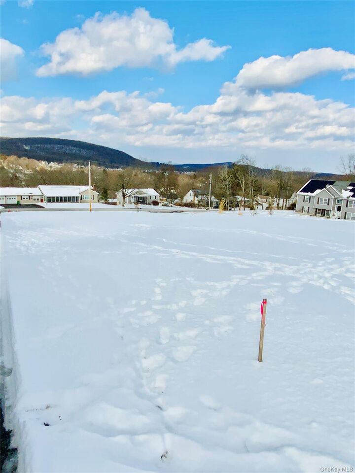 Property Photo: Tbd Smith Terrace NY 12528