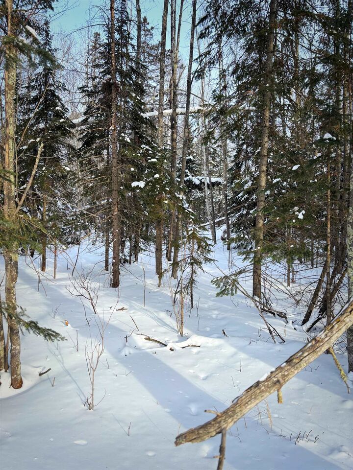 Property Photo:  000 Airport Rd  WI 54865 