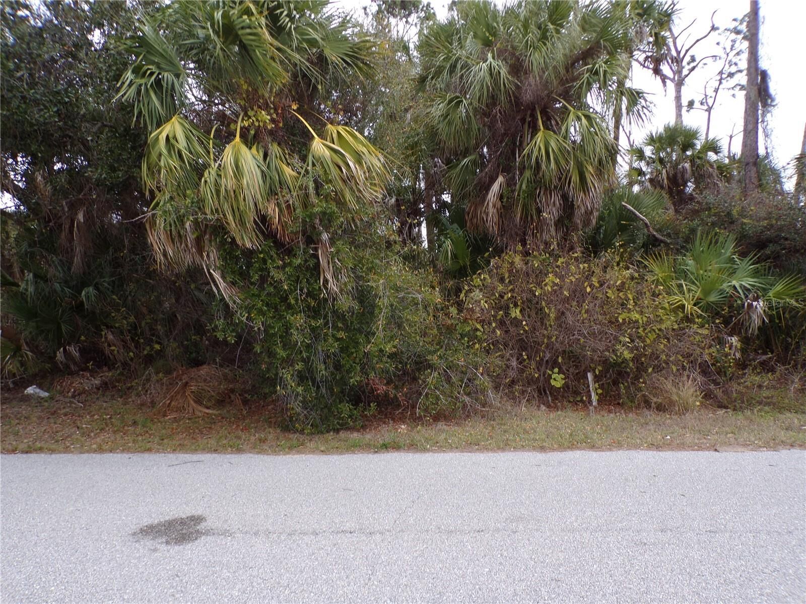 Property Photo: Music Lane FL 34286