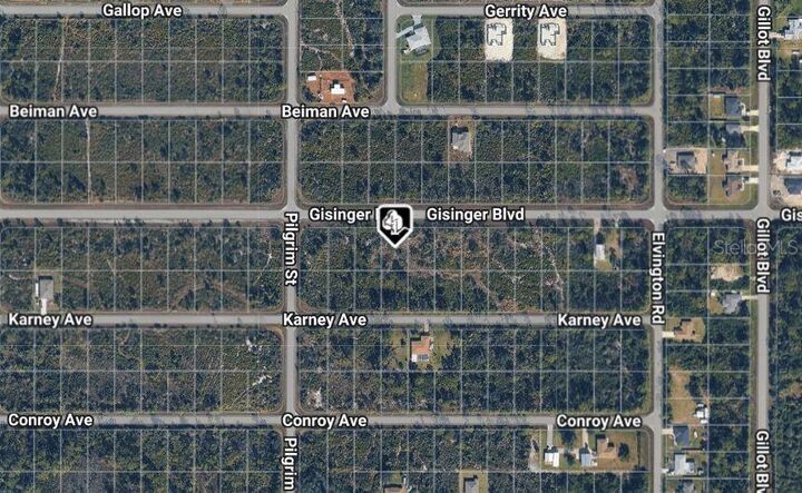 Property Photo: 12157 Gisinger Boulevard FL 33981