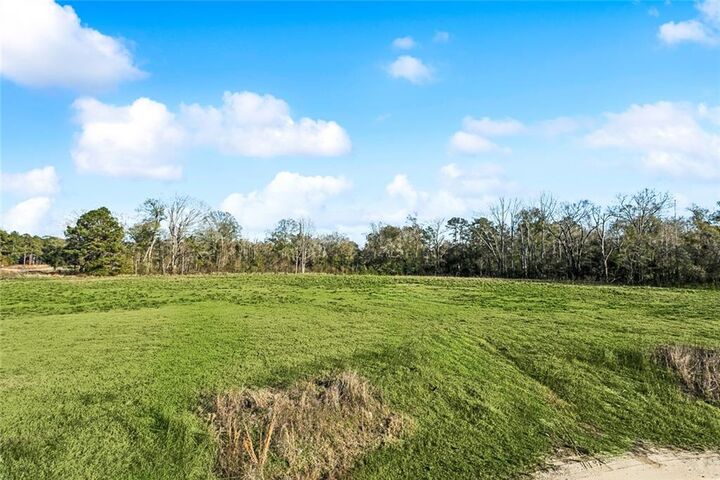 Property Photo:  12576 Goldentop Drive  LA 70433 