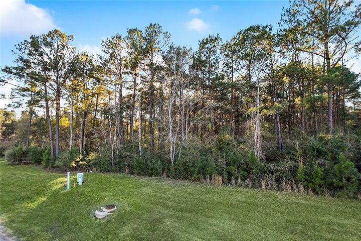 Property Photo:  12505 Goldentop Drive  LA 70433 