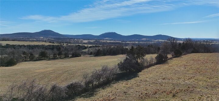 Property Photo:  1395 County Road 403  AR 72616 