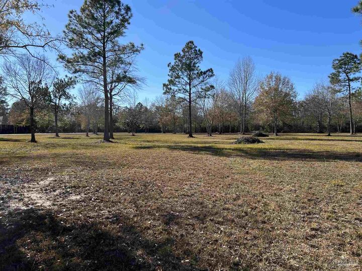 Property Photo: 0 Serenity Spring Dr FL 32571