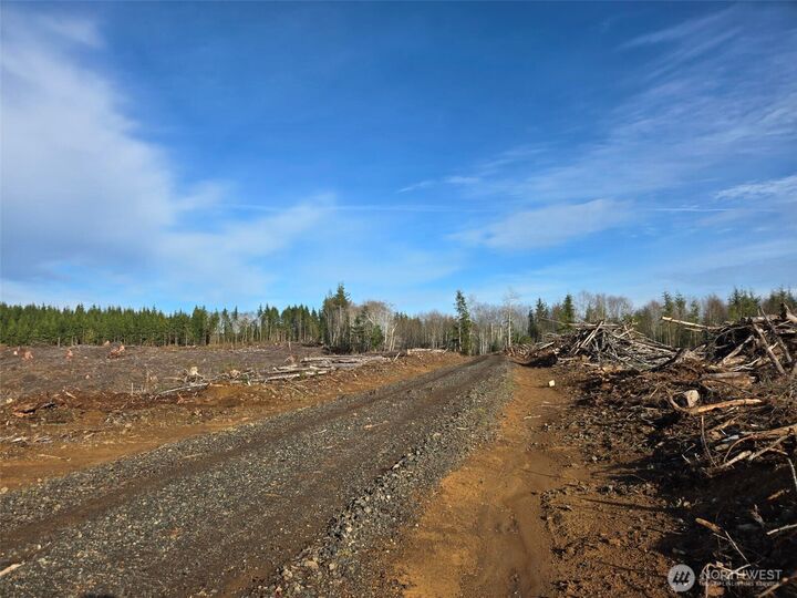 Property Photo:  0 End Of  Herbig Avenue  WA 98520 