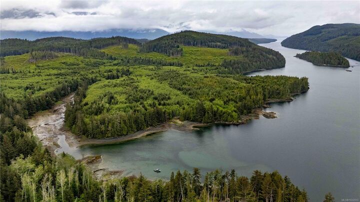 Dl1833 Cracroft Island — photo 1