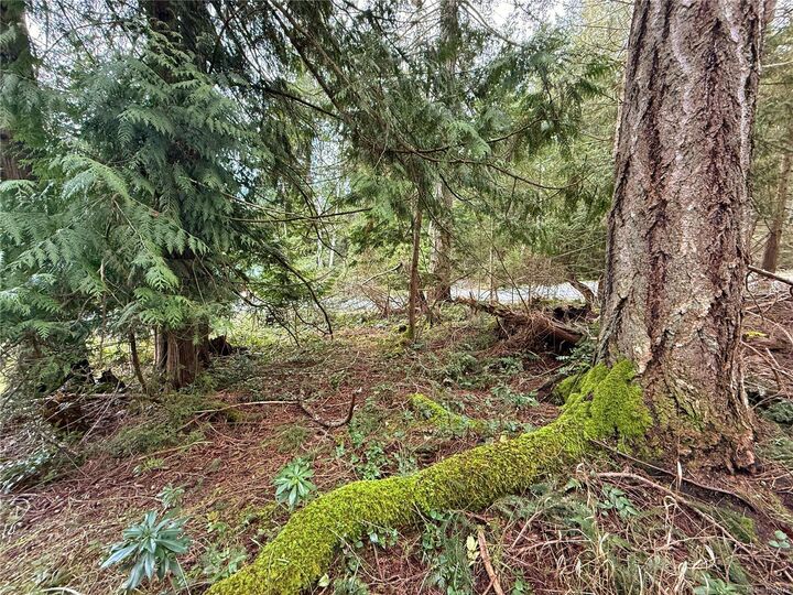 Lt 37 Dirksen Rd — photo 1
