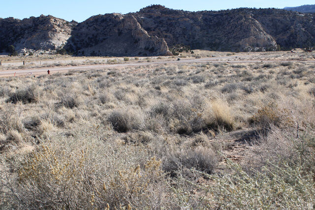 Property Photo:  140 E Teasdale 4  UT 84773 