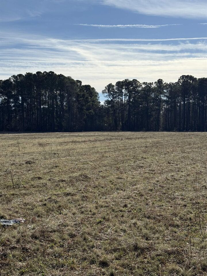 Property Photo: Lot 6 Johnson Shelley Rd. SC 29526