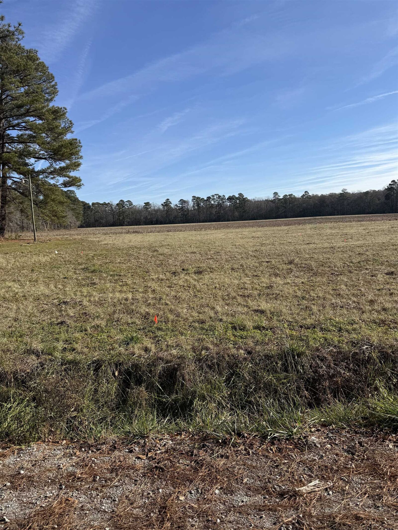 Property Photo: Lot 8 Johnson Shelley Rd. SC 29526