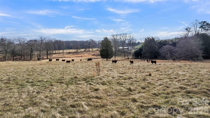 Property Photo: 00 Davidson Court NC 28681