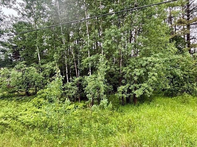 Property Photo:  1.03 Acres County Road X  WI 54455 