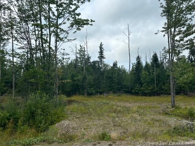 Property Photo: Lot 12-03 Robby Street NB E3G 8B4