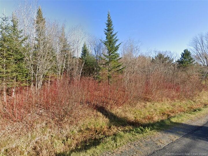 Property Photo:  175 Riceville Road  NB E3V 4S7 