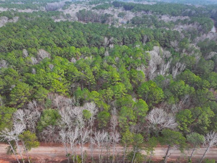 Property Photo:  Lot 2 Silva Drive  GA 31811 