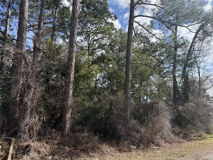 Property Photo: Tbd SE 190th Avenue FL 34488