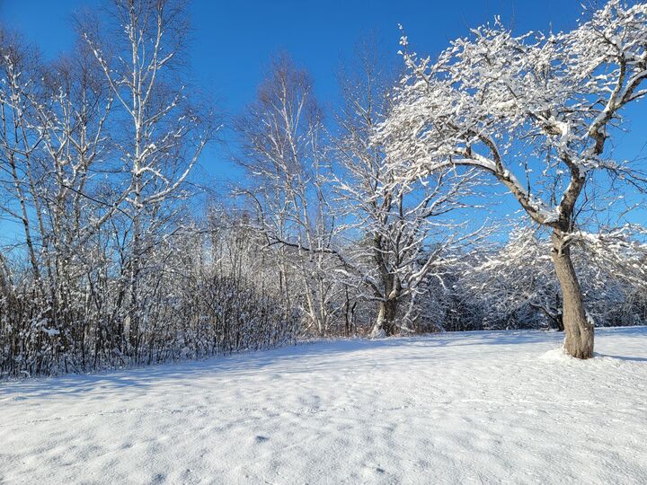 Property Photo: 4-8 Macomber Mill Road ME 04634