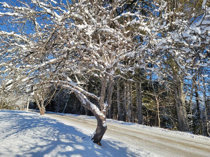 Property Photo:  4-8 Macomber Mill Road  ME 04634 