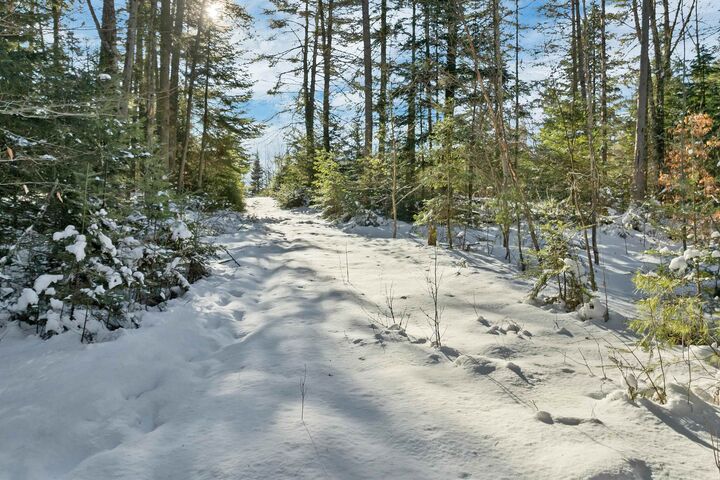 Property Photo: Nichols Road NH 03598