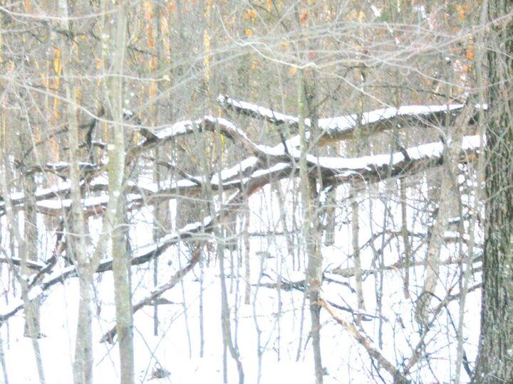 Property Photo:  1.34 Ac Czech Drive  WI 53934 