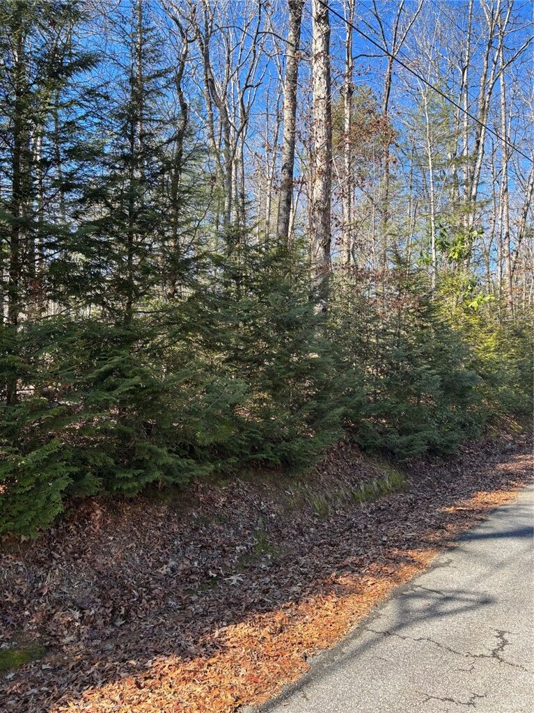 Property Photo:  686 W Cove Drive  SC 29664 