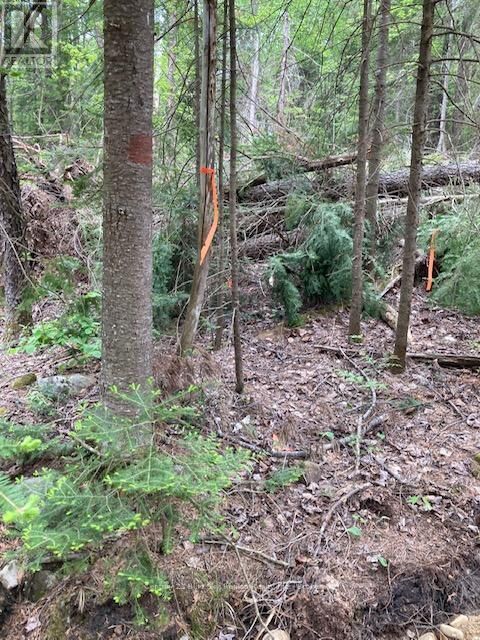 Property Photo: Lot 28 Concession 11 ON P0A 1H0