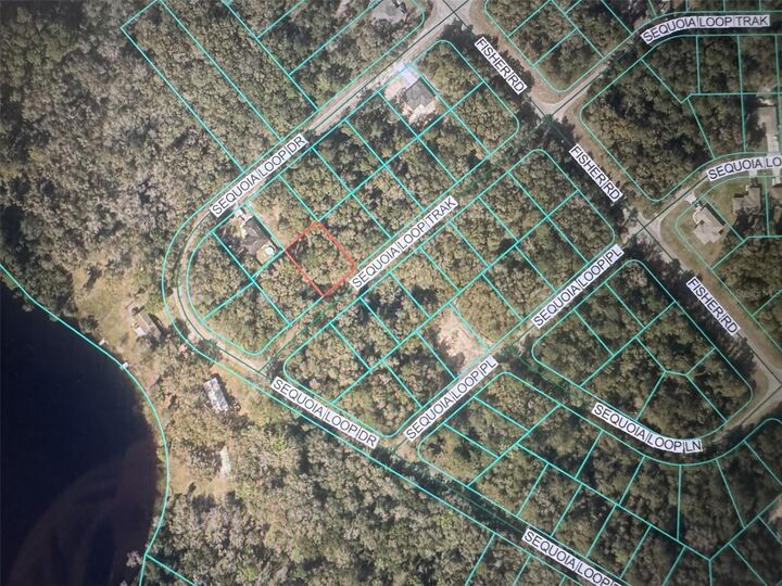 Property Photo:  Sequoia Loop Track  FL 32179 