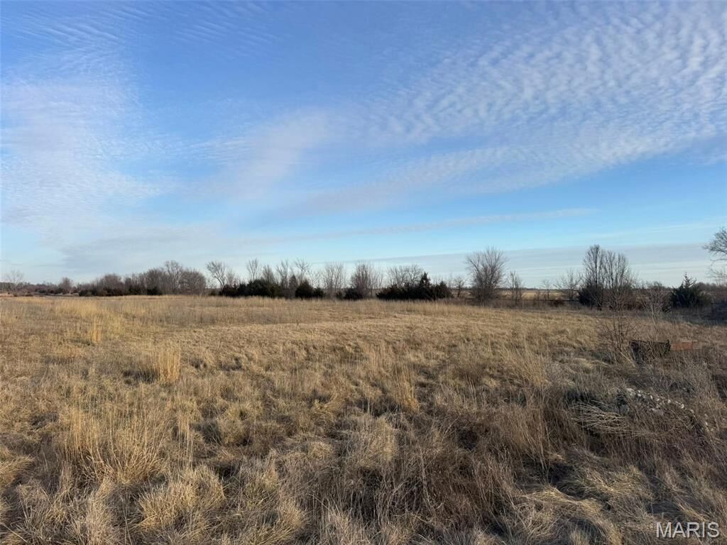 Property Photo:  Lot 9 Buckman Drive  MO 63456 