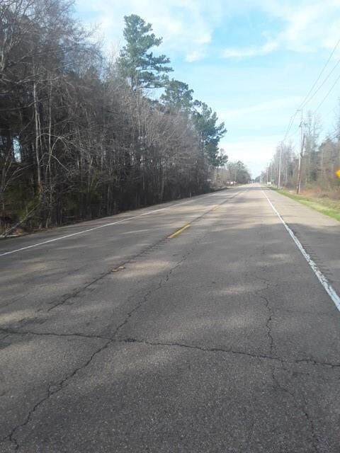 Property Photo: Tbd Hwy 51 Highway LA 70436