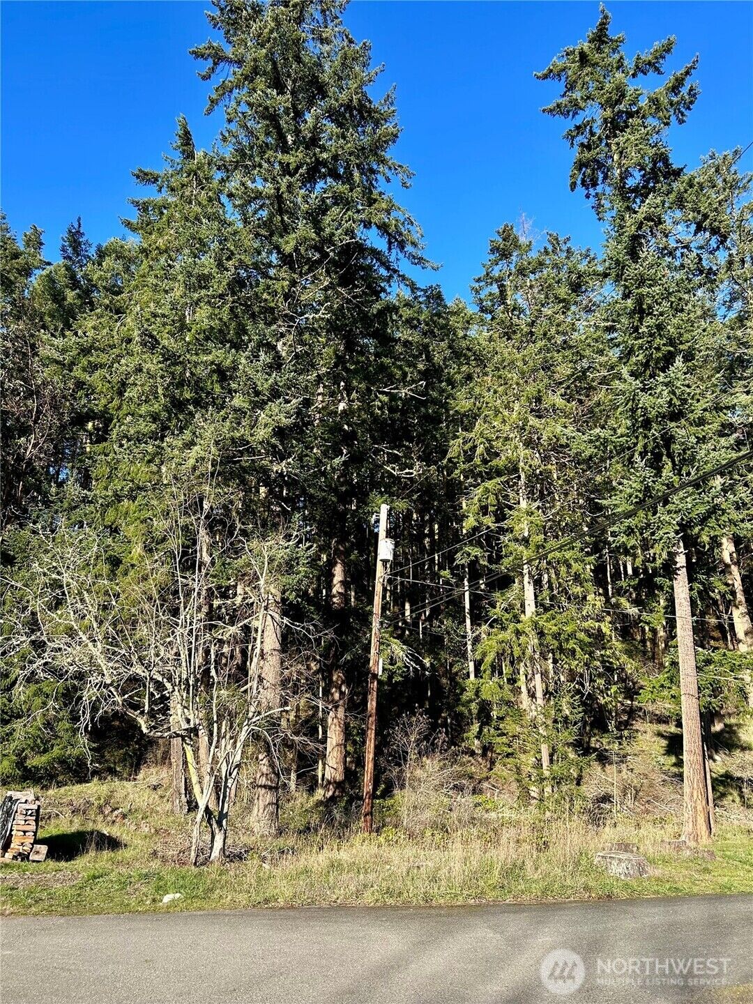 Property Photo:  55  Vancouver Place  WA 98368 