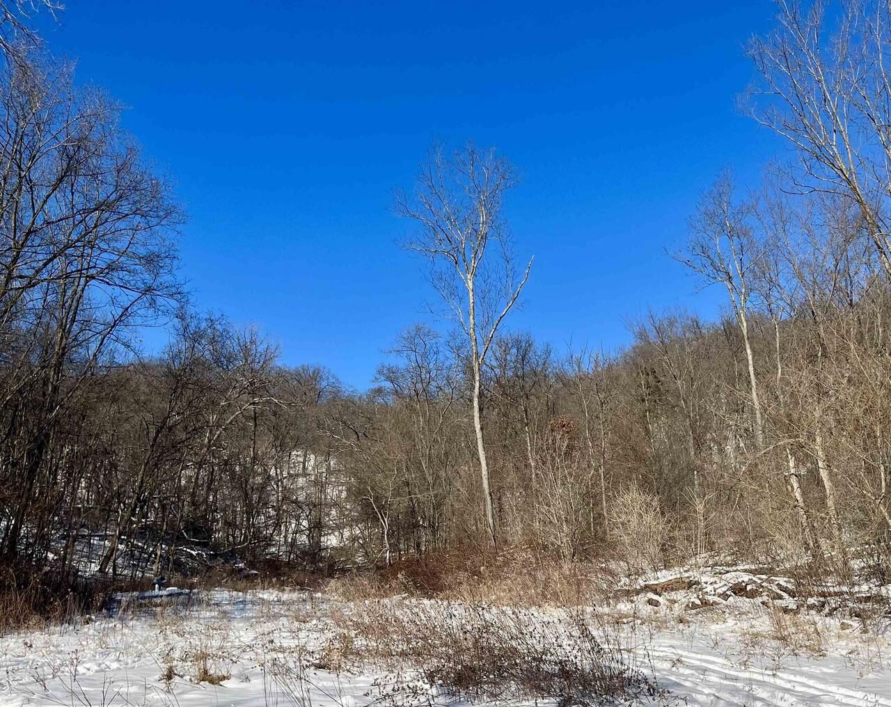 Property Photo:  49480 Iris Drive  WI 54631 