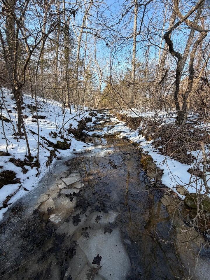 Property Photo: 970 Covey Road MO 65711