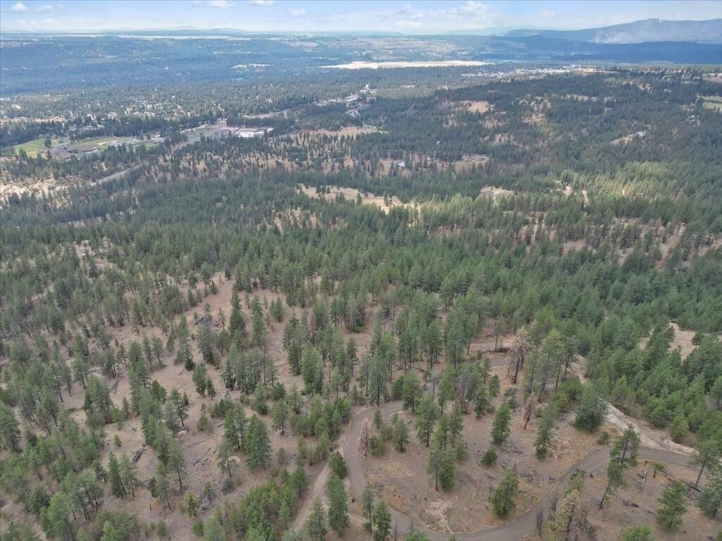 Property Photo: Nka Weaver Way Lot 4 Of Lot 3 WA 99006