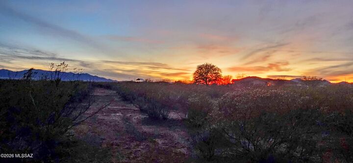 Property Photo:  1160 E Javelina Crossing Drive  AZ 85616 