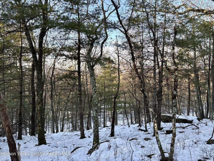 Property Photo: Tbd Route 28A NY 12491