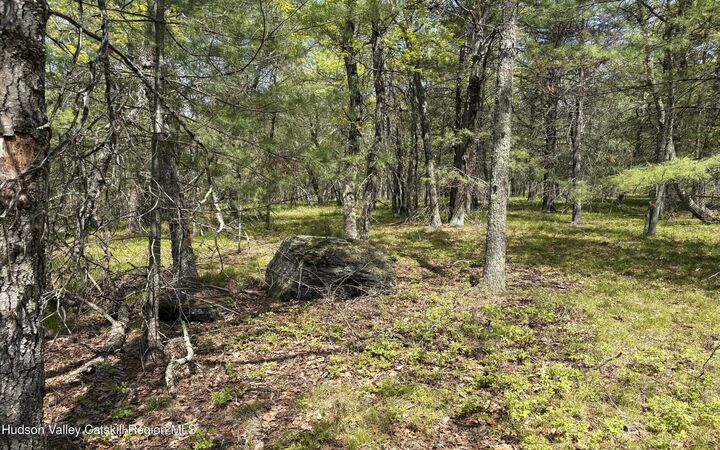 Property Photo: Tbd Route 28A NY 12491