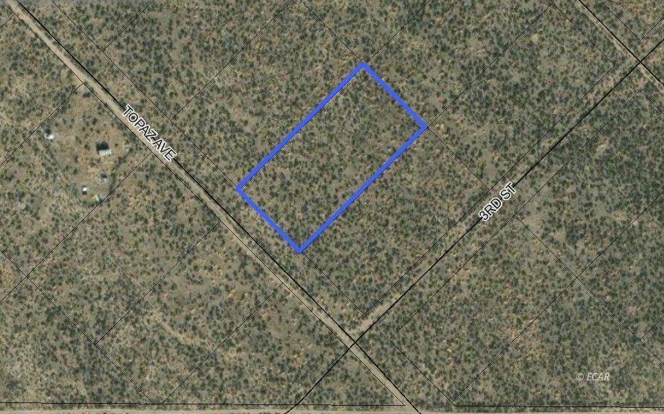 Property Photo:  Tbd Topaz Avenue  NV 89801 