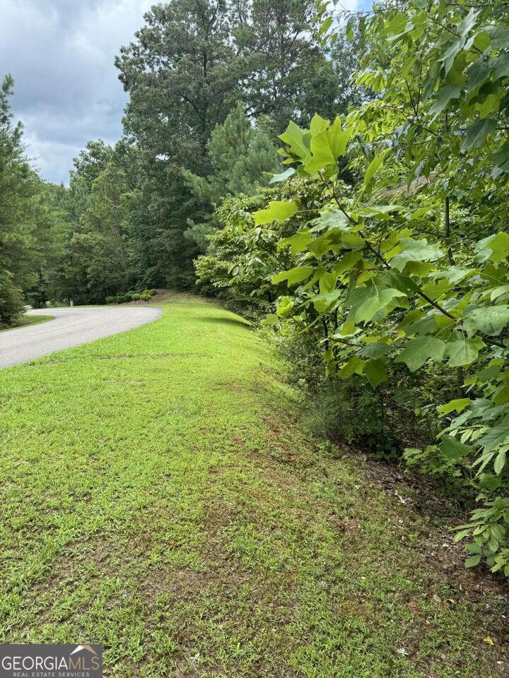 Property Photo: Lot 5 Harris Creek Drive GA 30540