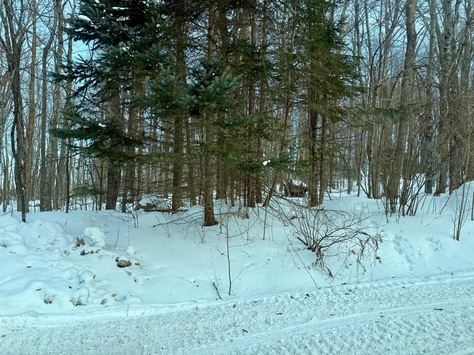 Property Photo:  00 Jones Ave  WI 54566 