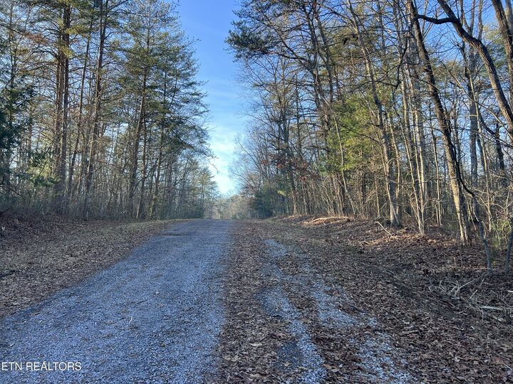 Property Photo:  5019 Broken Bow Drive  TN 38572 