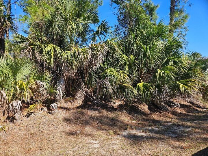 Property Photo: Music Lane FL 34286