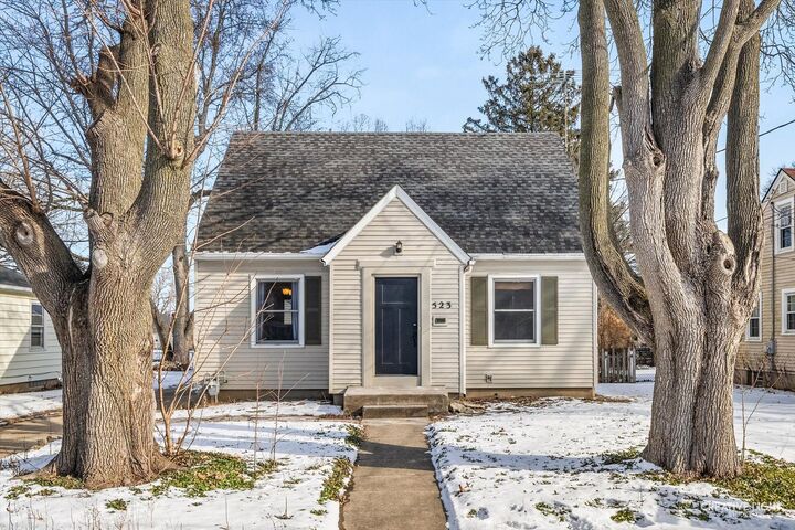 Property Photo:  523 Preston Avenue  IL 60120 